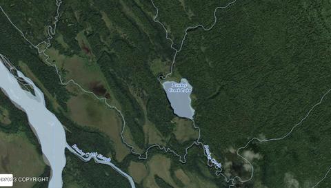 Tr A No Road, Remote, AK 99667 photo 2