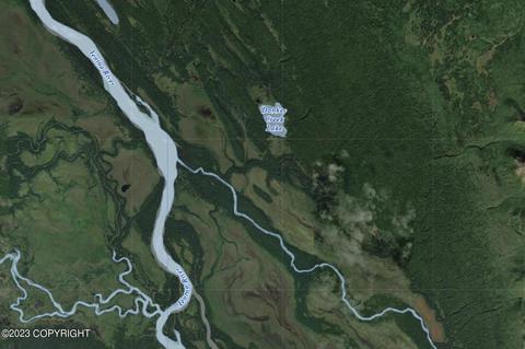 Tr A No Road, Remote, AK 99667 photo 3