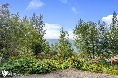 3901 Delores Dr, Eagle River, AK 99577 photo 81