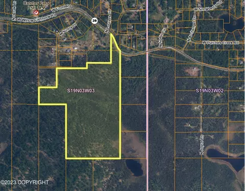 15601 N Sunny Dr, Willow, AK 99688