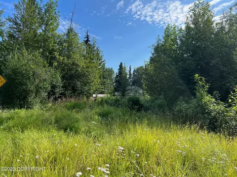 2940 E 84th Ave, Anchorage, AK 99507 photo 1