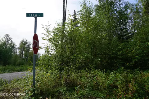 13950 E Leila Ln, Talkeetna, AK 99676