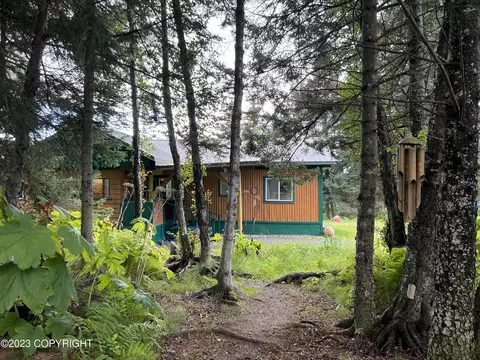 1485 Hillside Pl, Homer, AK 99603