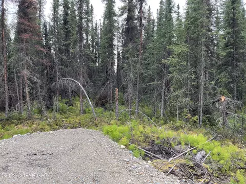 15384 N Deception Shores Cir, Willow, AK 99688