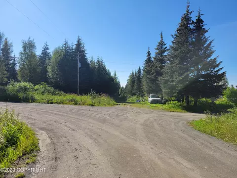 Tr 12 Tomski, Anchor Point, AK 99556