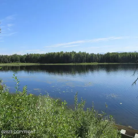 18302 E Future Rd, Talkeetna, AK 99676