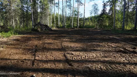 13903 N Pyrite Ave, Willow, AK 99688