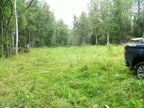 2031 N Larry Trl, Wasilla, AK 99654