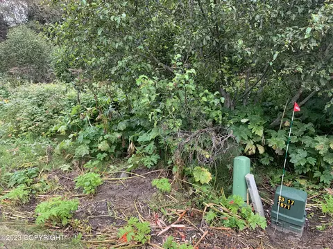 301 E Danview Ave, Homer, AK 99603