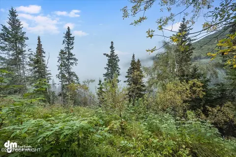 4717 Birdsong Dr, Eagle River, AK 99577 photo 23