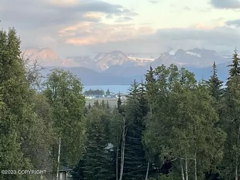 1131 Father Dean Ct, Homer, AK 99603