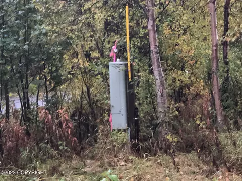 1004 E Carney Rd, Wasilla, AK 99654 photo 7