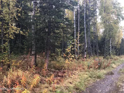 1004 E Carney Rd, Wasilla, AK 99654 photo 6