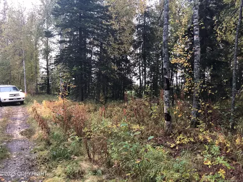 1004 E Carney Rd, Wasilla, AK 99654 photo 8