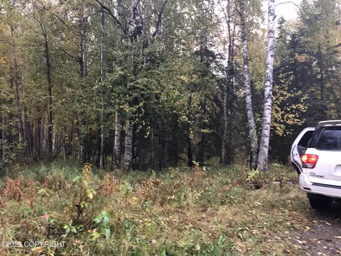 1004 E Carney Rd, Wasilla, AK 99654 photo 5