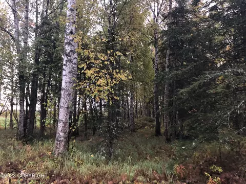 1004 E Carney Rd, Wasilla, AK 99654 photo 4