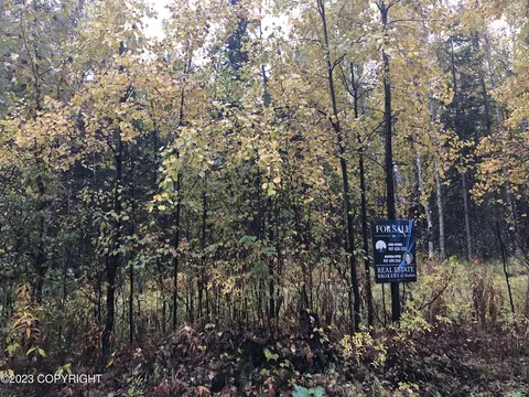 1004 E Carney Rd, Wasilla, AK 99654