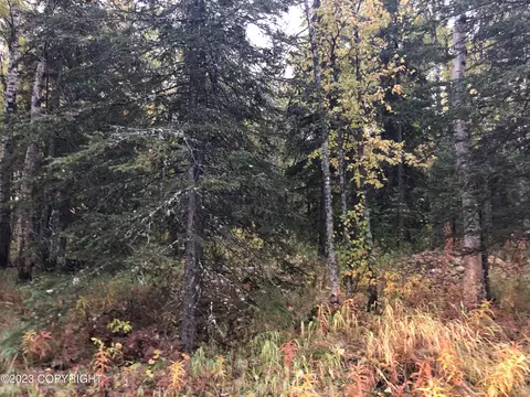 1004 E Carney Rd, Wasilla, AK 99654 photo 3