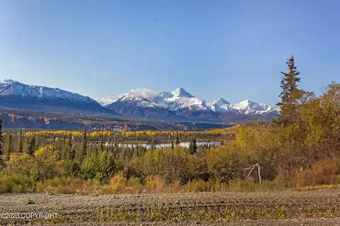 33629 W Arnica Ave, Chickaloon, AK 99674