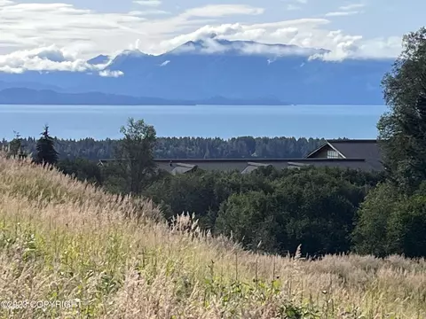 639 651 Nelson Ave, Homer, AK 99603