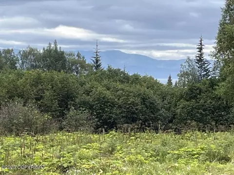 985 Nelson Ave, Homer, AK 99603