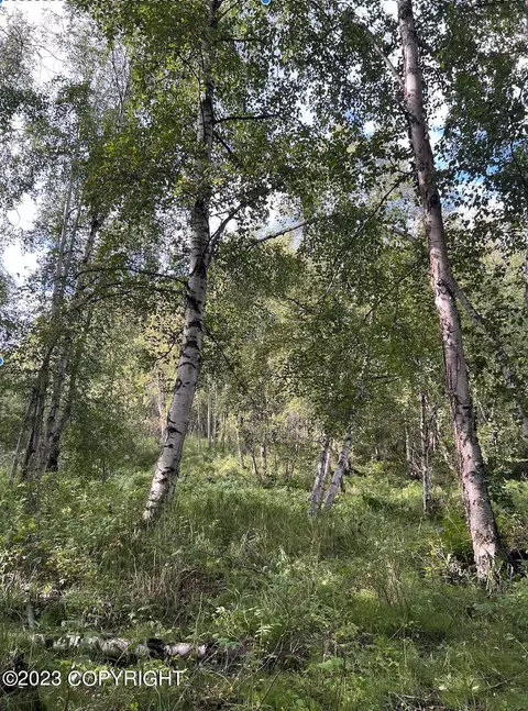 19915 E Twentyinch Ave, Willow, AK 99688 photo 2