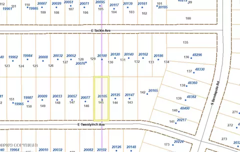20105 E Twentyinch Ave, Willow, AK 99688