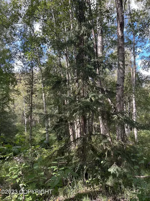 20105 E Twentyinch Ave, Willow, AK 99688 photo 2