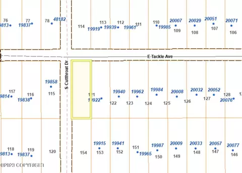 L121 E Tackle Avenue, Willow, AK 99688