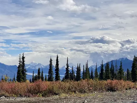 49462 S Timberwolf Rd, Chickaloon, AK 99674
