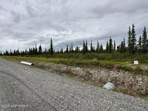 L9 B3 S Timberwolf Road, Chickaloon, AK 99674