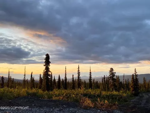 L1 B4 S Timberwolf Road, Chickaloon, AK 99674