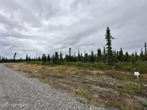 49640 S Timberwolf Rd, Chickaloon, AK 99674