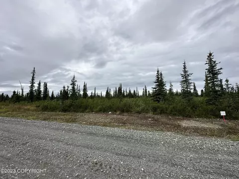 49212 S Timberwolf Rd, Chickaloon, AK 99674