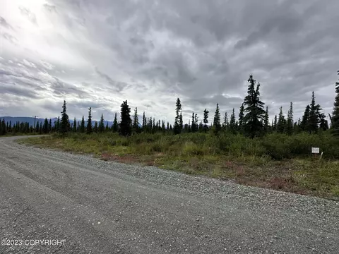 49106 S Timberwolf Rd, Chickaloon, AK 99674
