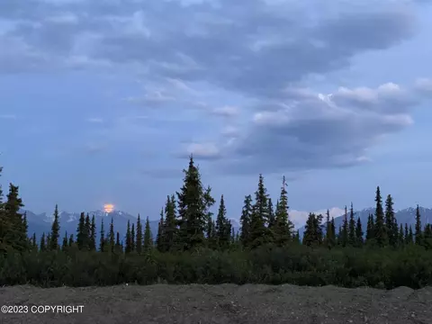 49158 S Timberwolf Rd, Chickaloon, AK 99674