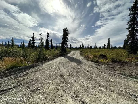 49508 S Timberwolf Rd, Chickaloon, AK 99674