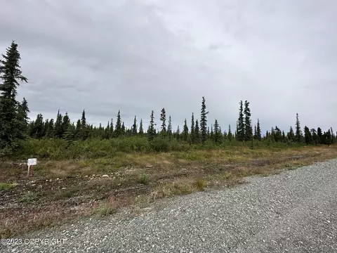 49598 S Timberwolf Rd, Chickaloon, AK 99674