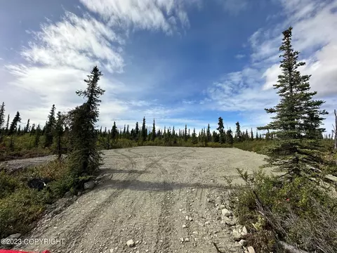 49550 S Timberwolf Rd, Chickaloon, AK 99674