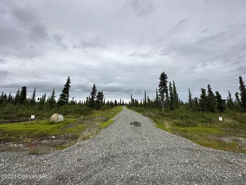 49302 S Timberwolf Rd, Chickaloon, AK 99674