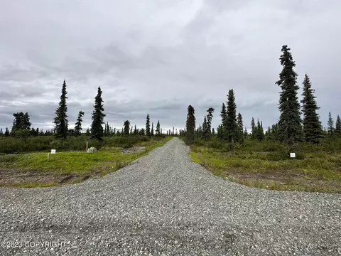 49480 S Timberwolf Rd, Chickaloon, AK 99674