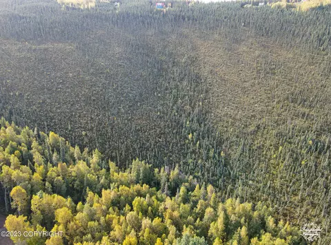 Nhn Birch Bend Court, Fairbanks, AK 99712