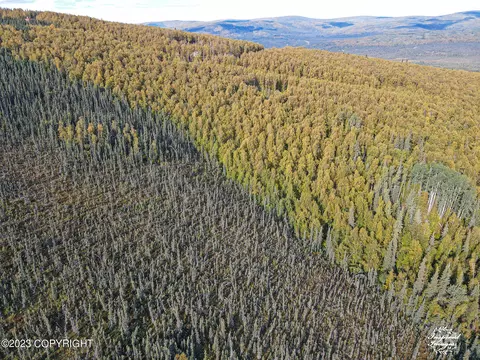 L13 Birch Bend Court, Fairbanks, AK 99712