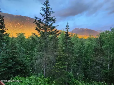 22318 Sampson Dr, Chugiak, AK 99567 photo 50
