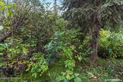 17742 Teklanika Dr, Eagle River, AK 99577 photo 36