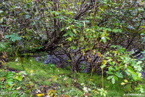 17742 Teklanika Dr, Eagle River, AK 99577 photo 35