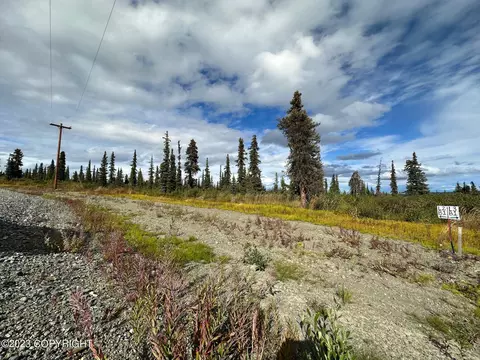 49093 S Timberwolf Rd, Chickaloon, AK 99674