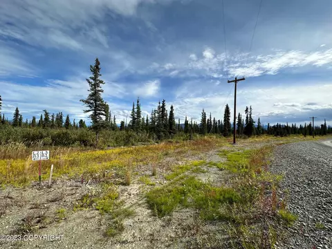 49121 S Timberwolf Rd, Chickaloon, AK 99674