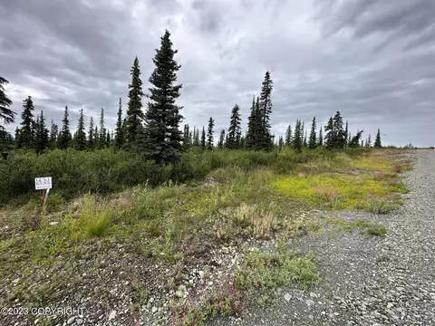 49046 S Timberwolf Rd, Chickaloon, AK 99674