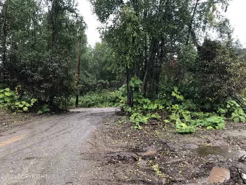 54385 Inlet Dr, Nikiskinorth Kenai, AK 99611